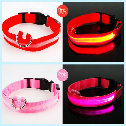 LED Glowing USB Rechargeable Pet Safety Collar for Dogs and Cats