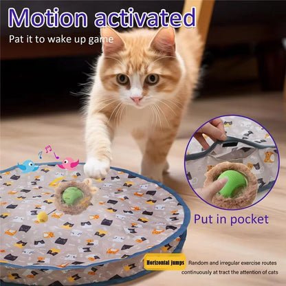 Motion-Activated Cat Toy Ball for Active Indoor Play