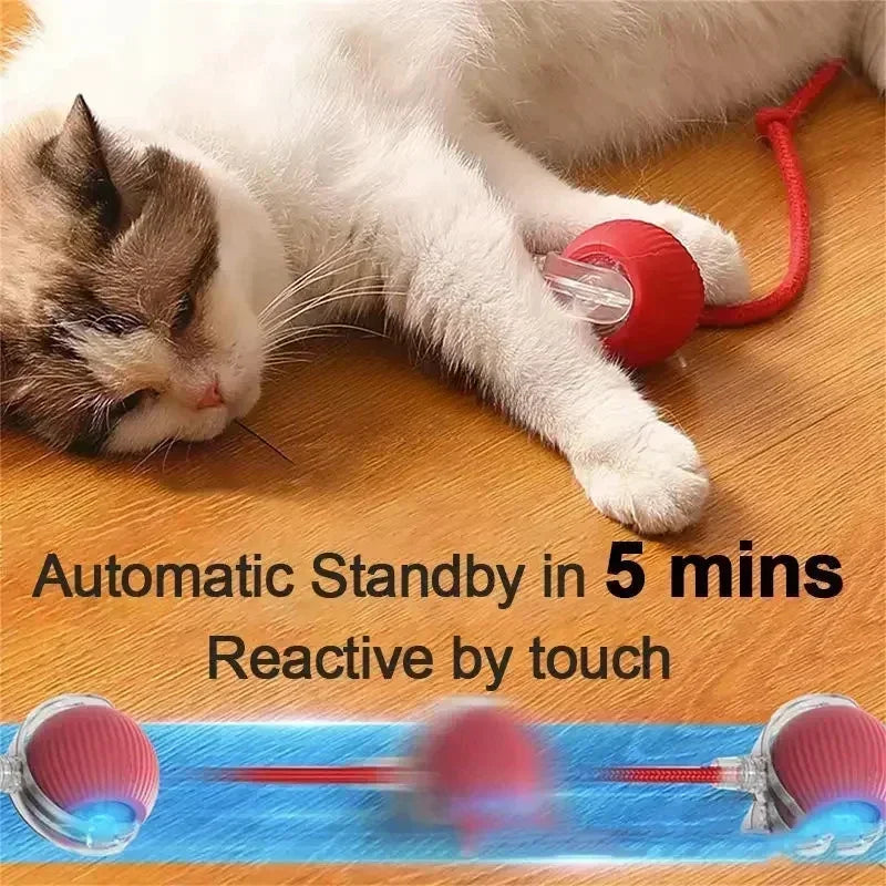 Rechargeable Electric Interactive Ball for Dogs and Cats