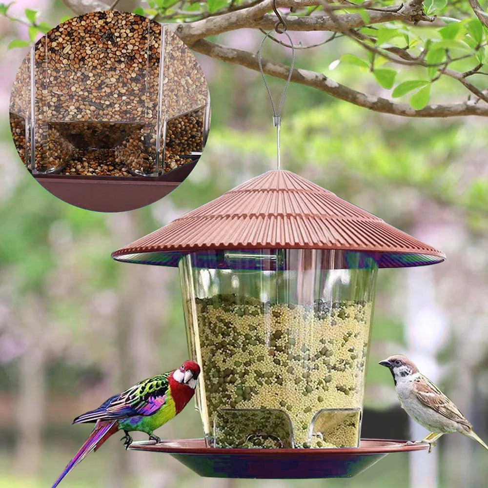 Transparent Window Bird Feeder for Nuts and Seeds