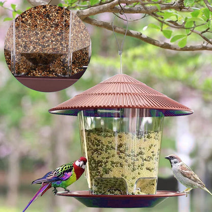 Transparent Window Bird Feeder for Nuts and Seeds