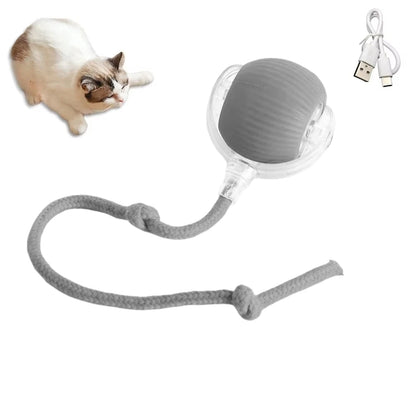 Rechargeable Interactive Cat Ball Toy with Faux Tail