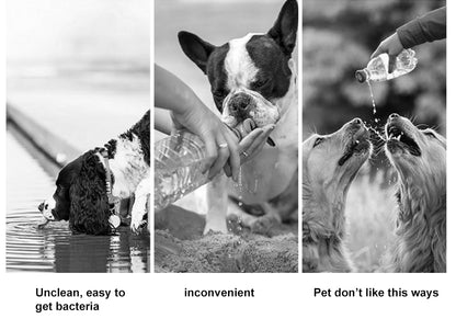 Portable Dog Water Bottle & Feeder for Outdoor Adventures