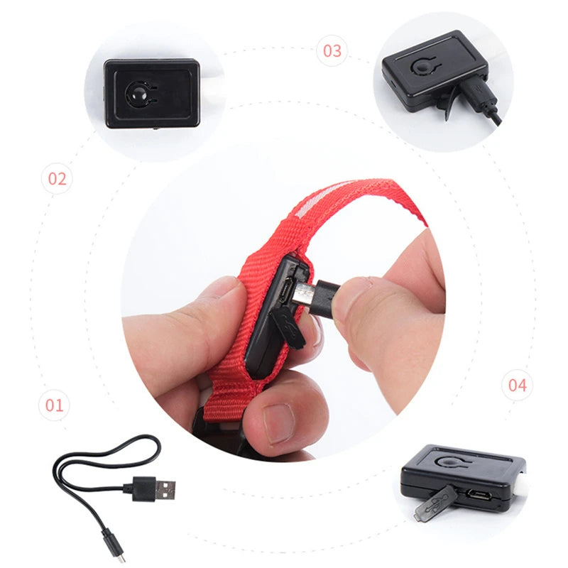 LED Glowing USB Rechargeable Pet Safety Collar for Dogs and Cats