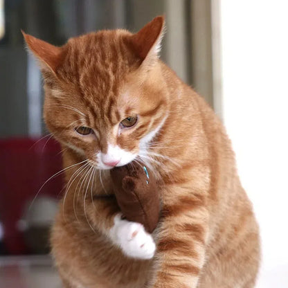 Plush Rattling Cat Toy - Multicolor Chew & Interactive Puzzle