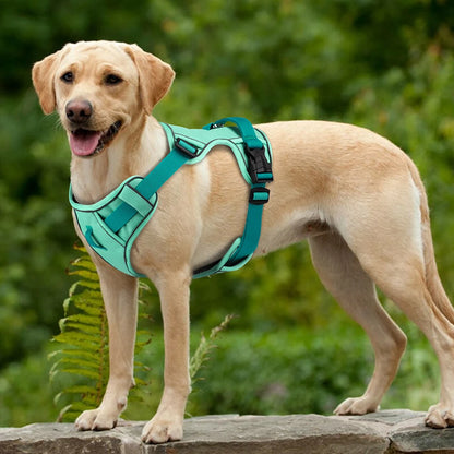 Breathable Reflective Dog Harness - Adjustable for All Sizes