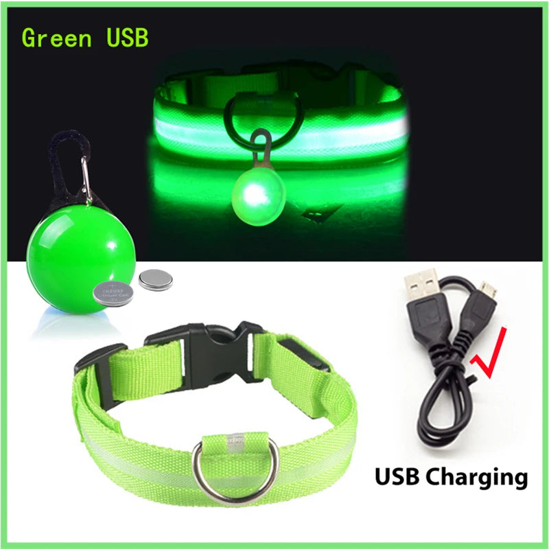 LED Light-Up Dog Collar for Night Safety - USB Rechargeable