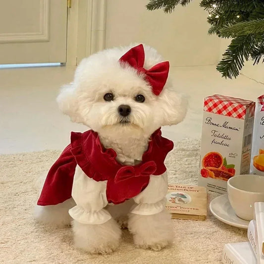 Winter Warm Dog Dress Set with Bow Knot for Small Breeds