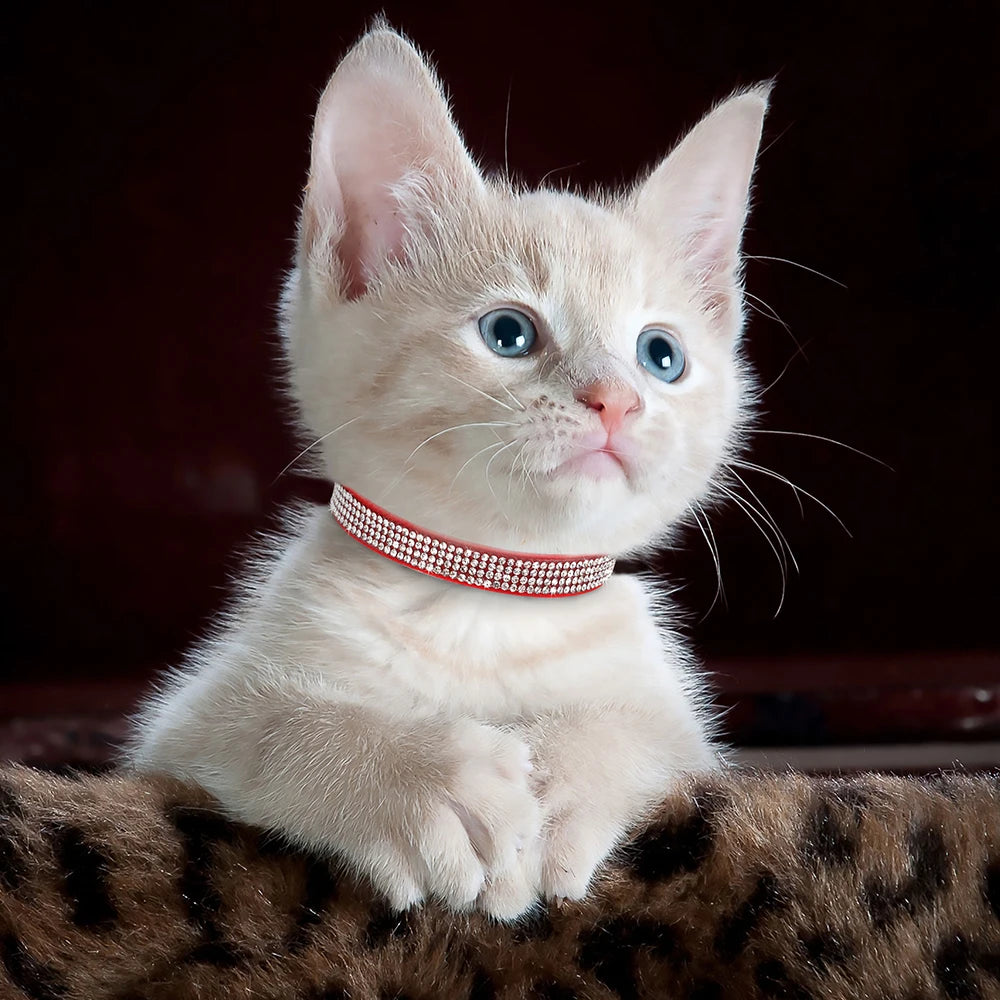 Adjustable Pink Rhinestone Cat Collar with Safety Breakaway