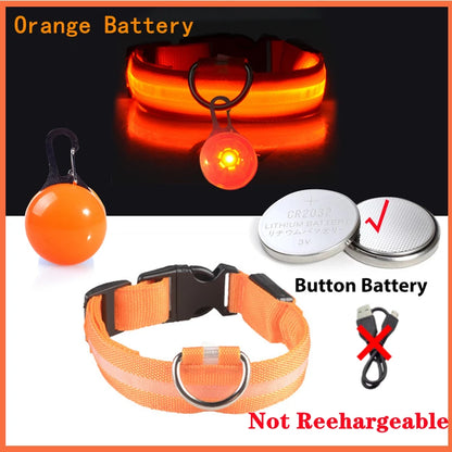 LED Light-Up Dog Collar for Night Safety - USB Rechargeable