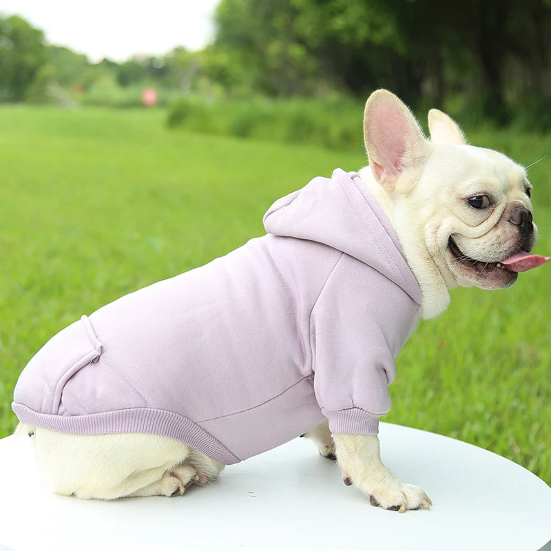 Warm Hooded Sweater for Small Dogs - Autumn & Winter Wear