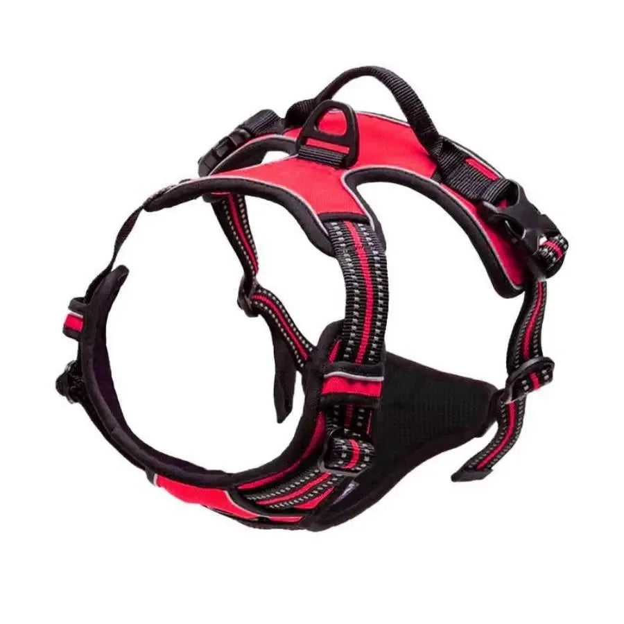 Leather Dog Collars and Harness Set for Medium and Small Dogs