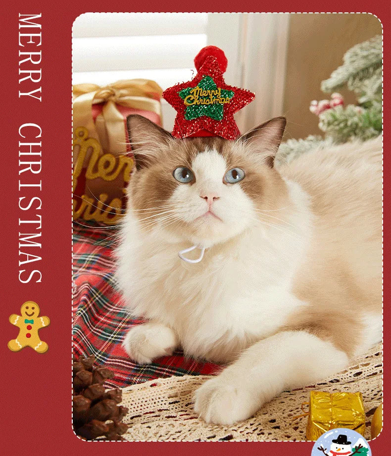 Christmas Hat and Scarf Set for Dogs and Cats