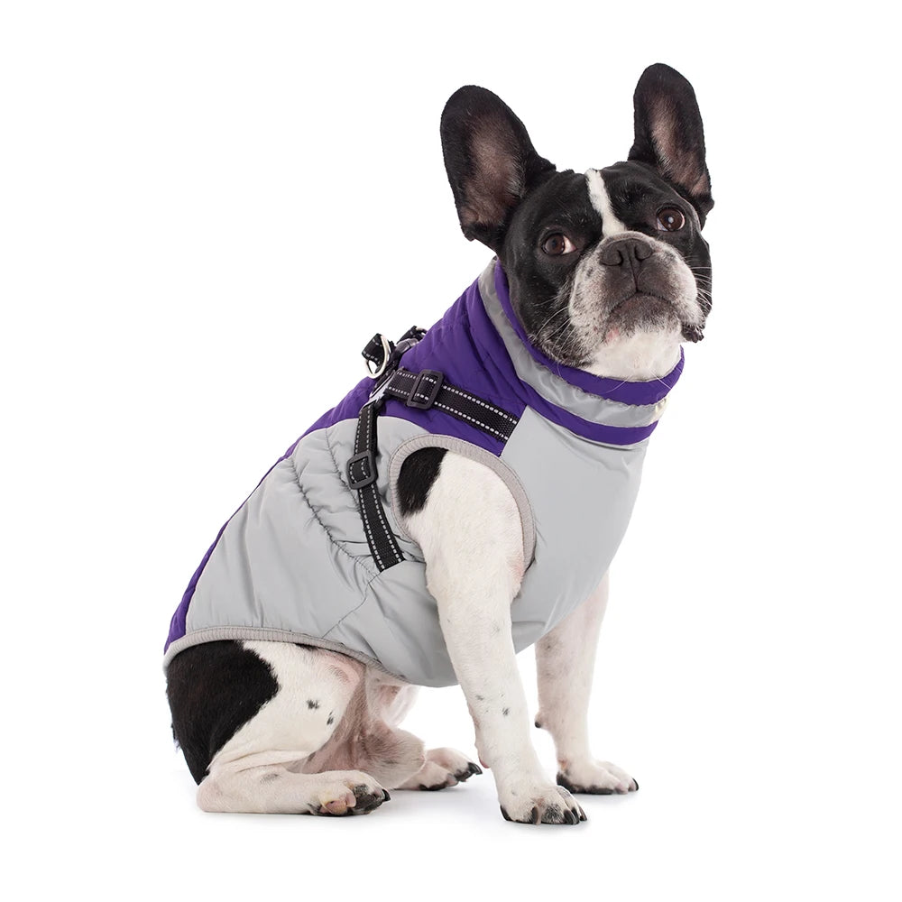 Waterproof Winter Dog Jacket with Harness for Small to Large Breeds