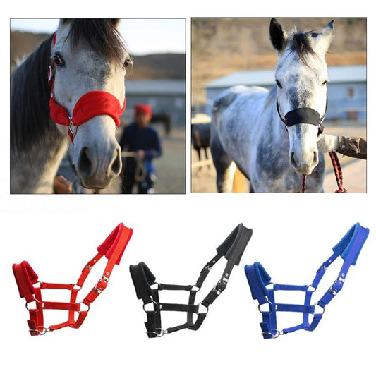 Padded Pony Horse Halter and Bridle for Riding