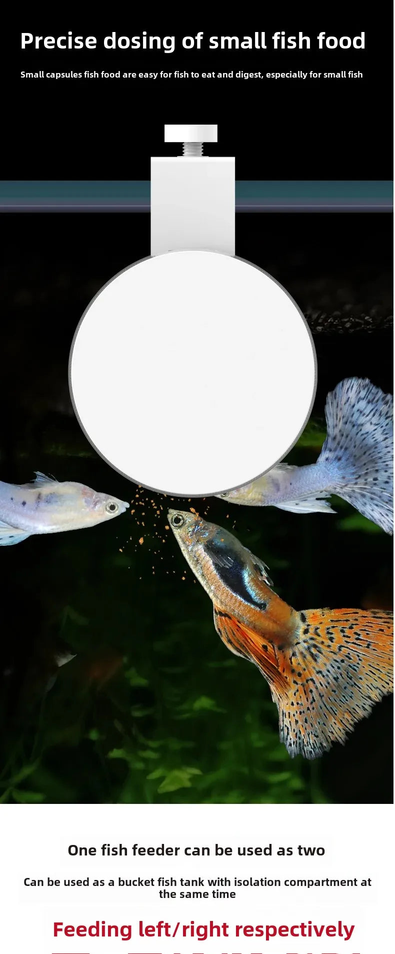 Timed Fish Feeder for Small Tanks - Clog-Free Design