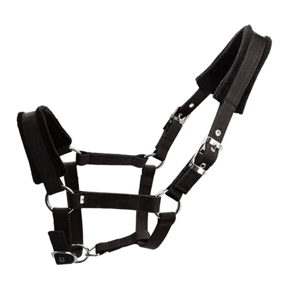 Padded Pony Horse Halter and Bridle for Riding