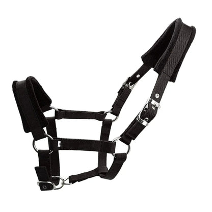 Padded Pony Horse Halter and Bridle for Riding