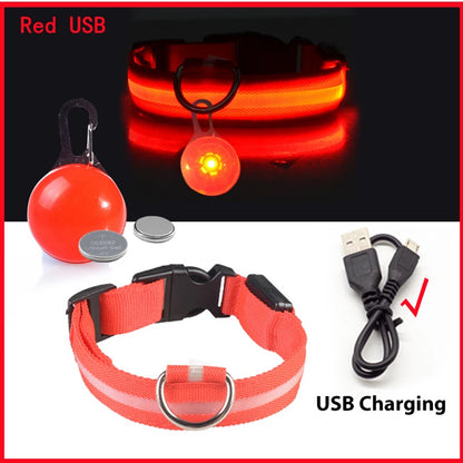 LED Light-Up Dog Collar for Night Safety - USB Rechargeable