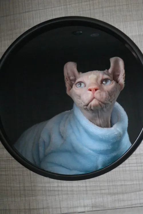 Sphynx Cat Sweater and Hoodie Outfit for Pets