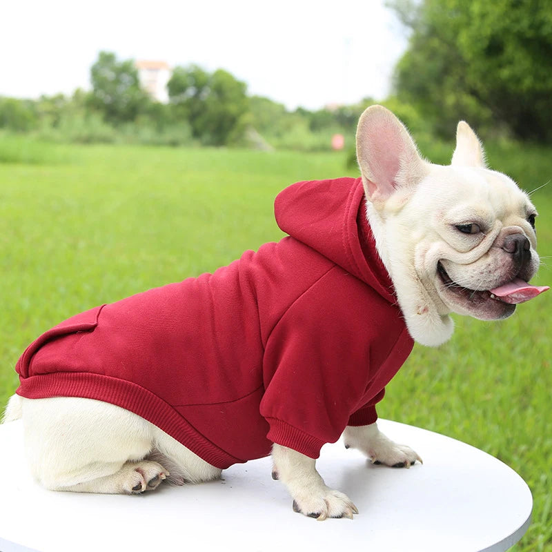 Warm Hooded Sweater for Small Dogs - Autumn & Winter Wear