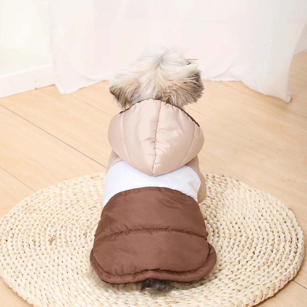 Waterproof Windproof Dog Hoodie for Small Dogs and Cats