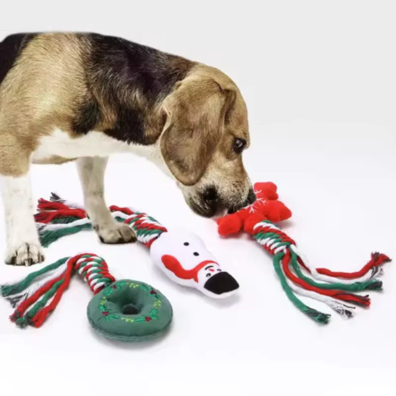 Cute Interactive Dog Squeaky Chew Toy with Cotton Ropes