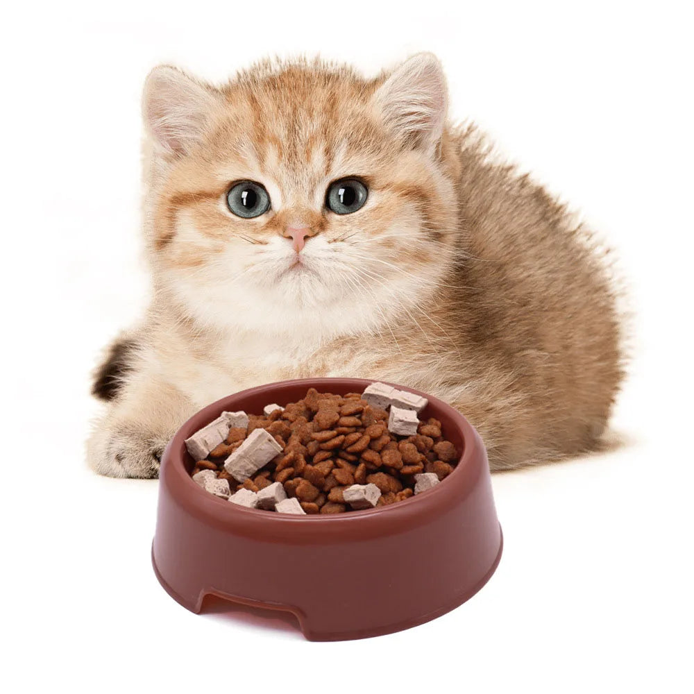 Cat and Small Dog Feeding Bowl and Water Dish Set