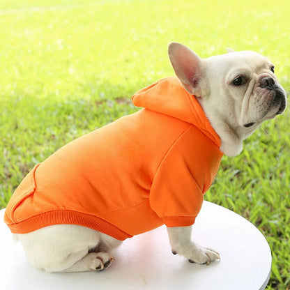 Warm Hooded Sweater for Small Dogs - Autumn & Winter Wear