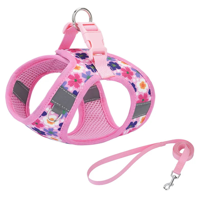 Printed 360° Fit Pet Harness with 1.5m Leash for Dogs & Cats