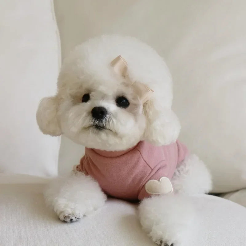 Winter Hoodie for Dogs and Cats with Love Bear Design