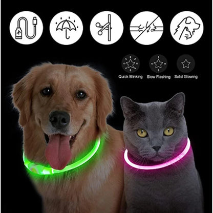 LED Glowing USB Rechargeable Pet Safety Collar for Dogs and Cats