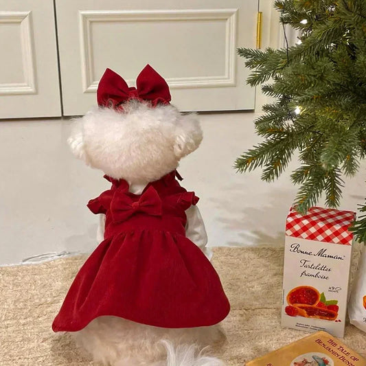 Winter Warm Dog Dress Set with Bow Knot for Small Breeds