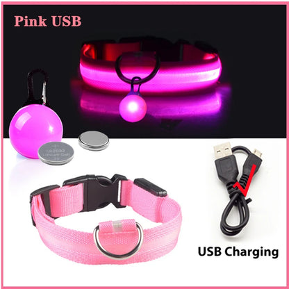 LED Light-Up Dog Collar for Night Safety - USB Rechargeable