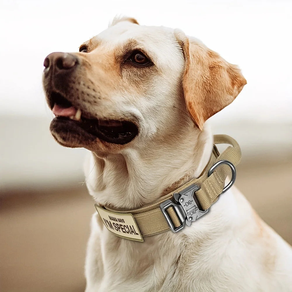 Tactical Dog Collar with Handle for Medium and Large Dogs
