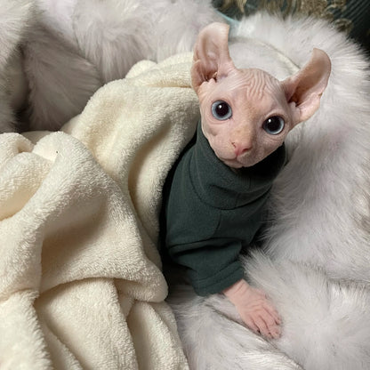 Soft Cotton Clothes for Sphynx Cats and Small Dogs