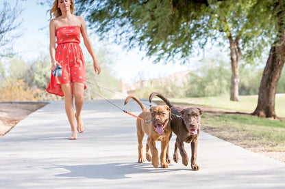 Reflective Retractable Double Dog Leash for Small Dogs