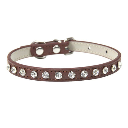 Rhinestone Cat Collar and Leather Dog Neck Strap