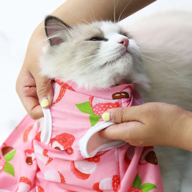 Pet Surgical Recovery Suit for Small Dogs and Cats