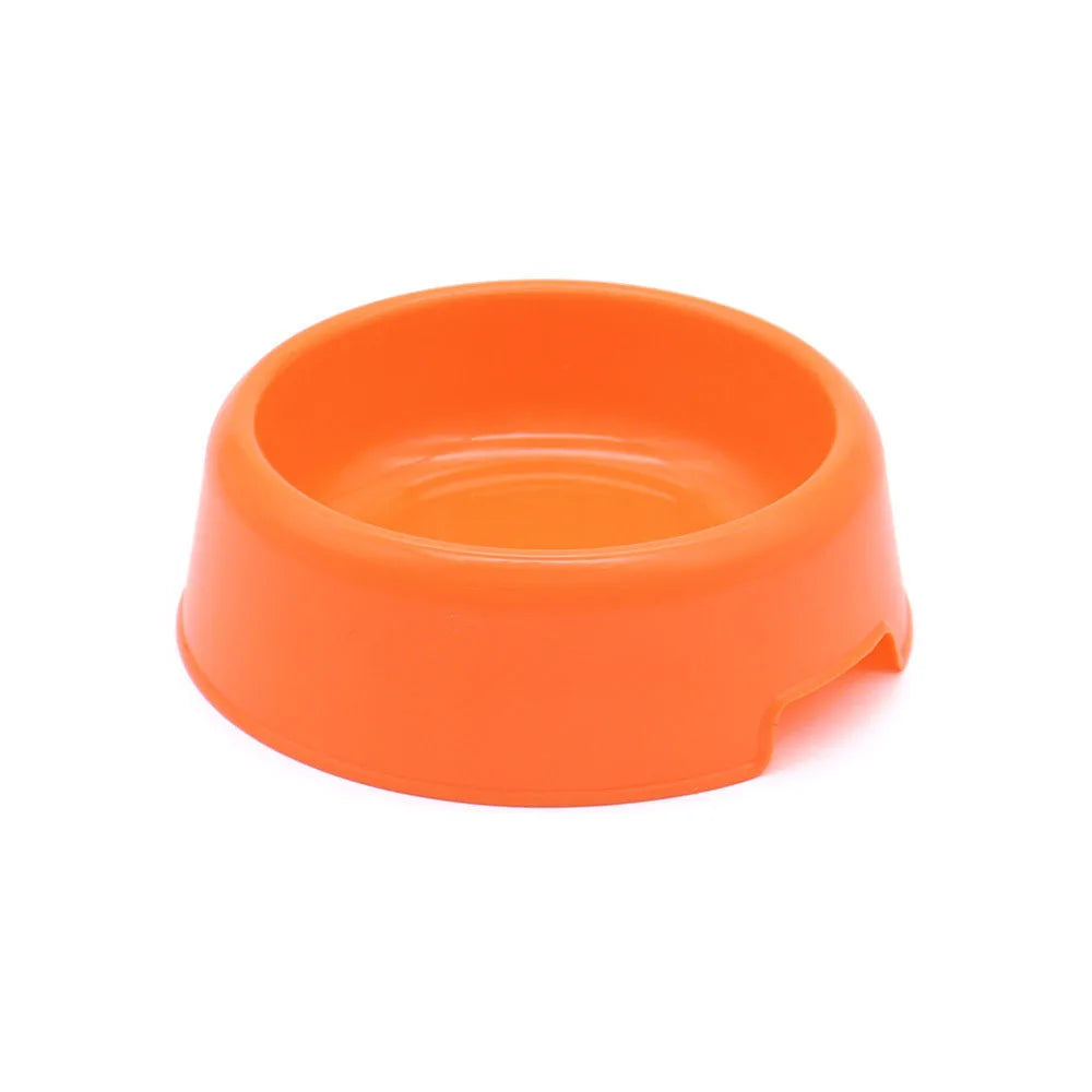 Cat and Small Dog Feeding Bowl and Water Dish Set