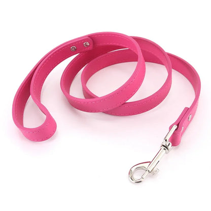 Colorful Leather Leashes for Small to Large Dogs and Cats