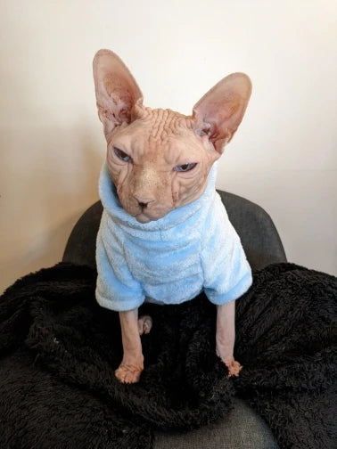 Sphynx Cat Sweater and Hoodie Outfit for Pets
