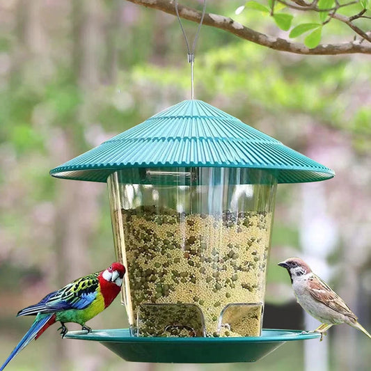 Transparent Window Bird Feeder for Nuts and Seeds
