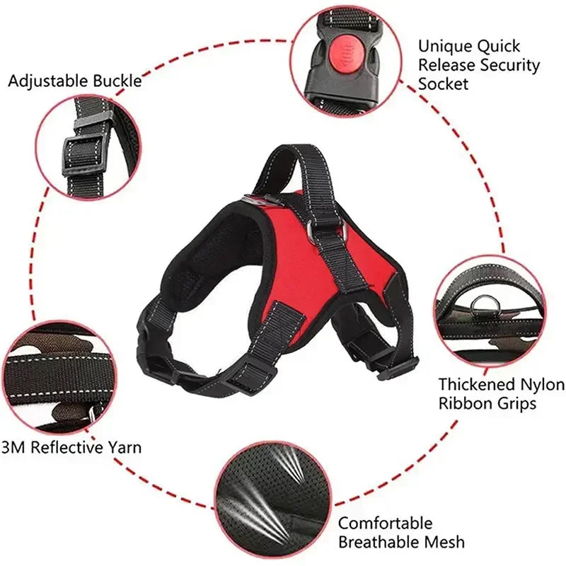Adjustable Dog Harness and Leash Set for Small to Medium Dogs