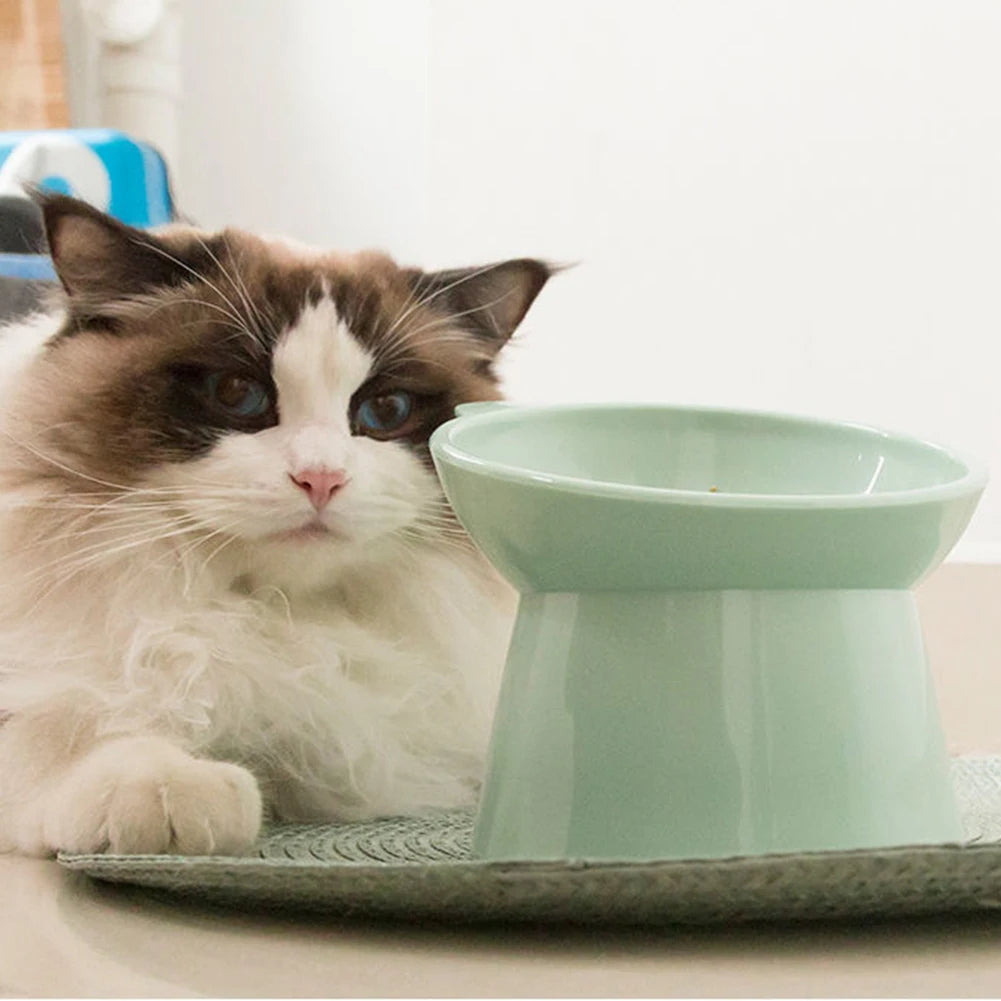 Ergonomic Tilted Cat Food Bowl for Flat-Faced Cats