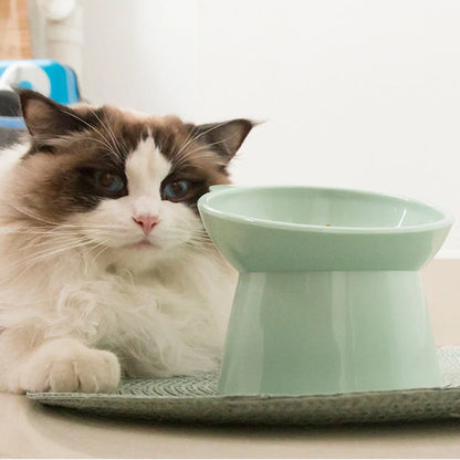 Ergonomic Tilted Cat Food Bowl for Flat-Faced Cats