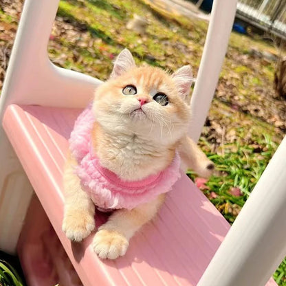 Warm Velvet Sweater for Small Pets and Kittens