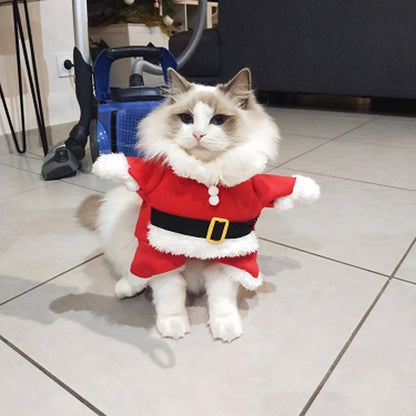 Christmas Cat and Dog Santa Costumes for Festive Parties