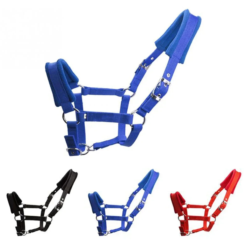 Padded Pony Horse Halter and Bridle for Riding