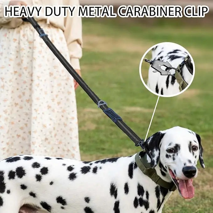 Heavy Duty Bungee Dog Leash with Car Seatbelt for Large Dogs